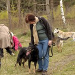 hw700016-150x150 Tierheim-Hundewanderung 2015