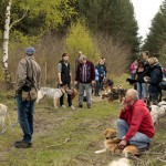 hw700017-150x150 Tierheim-Hundewanderung 2015