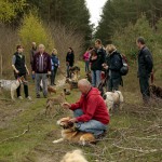 hw700018-150x150 Tierheim-Hundewanderung 2015
