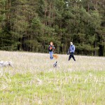 hw700019-150x150 Tierheim-Hundewanderung 2015