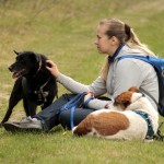 hw700021-150x150 Tierheim-Hundewanderung 2015