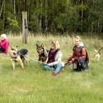 hw700023-150x150 Tierheim-Hundewanderung 2015