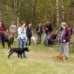 hw700025-150x150 Tierheim-Hundewanderung 2015