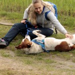 hw700031-150x150 Tierheim-Hundewanderung 2015