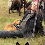 hw700034-150x150 Tierheim-Hundewanderung 2015