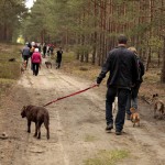 hw700035-150x150 Tierheim-Hundewanderung 2015