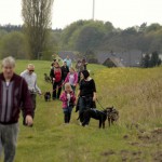 hw700038-150x150 Tierheim-Hundewanderung 2015