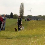 hw700040-150x150 Tierheim-Hundewanderung 2015