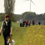 hw700041-150x150 Tierheim-Hundewanderung 2015