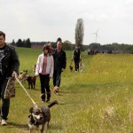 hw700042-150x150 Tierheim-Hundewanderung 2015