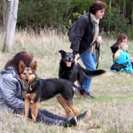 hw700044-150x150 Tierheim-Hundewanderung 2015