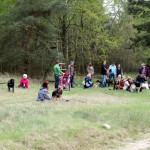 hw700045-150x150 Tierheim-Hundewanderung 2015