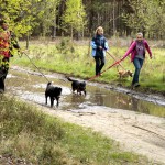 hw700046-150x150 Tierheim-Hundewanderung 2015