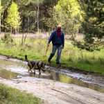 hw700048-150x150 Tierheim-Hundewanderung 2015