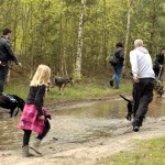 hw700049-150x150 Tierheim-Hundewanderung 2015