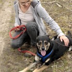 hw700053-150x150 Tierheim-Hundewanderung 2015