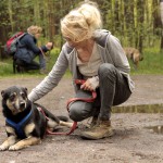 hw700054-150x150 Tierheim-Hundewanderung 2015