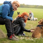 hw700063-150x150 Tierheim-Hundewanderung 2015