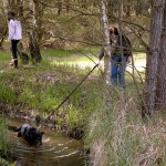 hw700075-150x150 Tierheim-Hundewanderung 2015