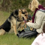 hw700080-150x150 Tierheim-Hundewanderung 2015