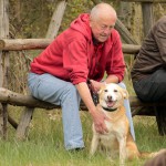 hw700089-150x150 Tierheim-Hundewanderung 2015