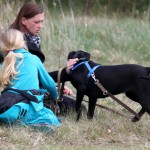 hw700092-150x150 Tierheim-Hundewanderung 2015