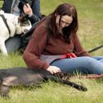 hw700094-150x150 Tierheim-Hundewanderung 2015