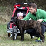 hw700096-150x150 Tierheim-Hundewanderung 2015