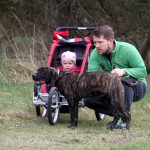 hw700097-150x150 Tierheim-Hundewanderung 2015