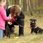 hw700104-150x150 Tierheim-Hundewanderung 2015