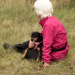 hw700111-150x150 Tierheim-Hundewanderung 2015