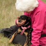 hw700112-150x150 Tierheim-Hundewanderung 2015