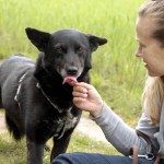 hw700119-150x150 Tierheim-Hundewanderung 2015