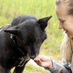 hw700121-150x150 Tierheim-Hundewanderung 2015