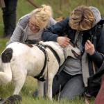 hw700123-150x150 Tierheim-Hundewanderung 2015