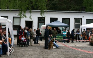 t1000001-320x202 Spendenaktion in Cottbus mit Straßenmusik