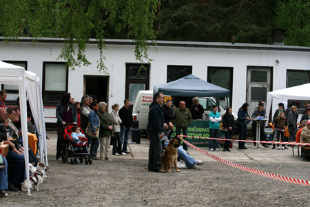 t1000001 Ein ganz normaler Monat im Tierschutzliga-Dorf