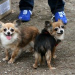 t1000004-150x150 Bericht zum Tag der offenen Tür 2010