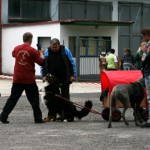 t1000005-150x150 Bericht zum Tag der offenen Tür 2010