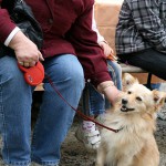 t1000009-150x150 Bericht zum Tag der offenen Tür 2010