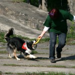 t1000010-150x150 Bericht zum Tag der offenen Tür 2010