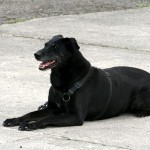 t1000013-150x150 Bericht zum Tag der offenen Tür 2010