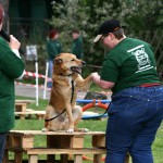 t1000015-150x150 Bericht zum Tag der offenen Tür 2010