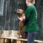 t1000017-150x150 Bericht zum Tag der offenen Tür 2010