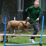 t1000018-150x150 Bericht zum Tag der offenen Tür 2010