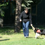 t1000019-150x150 Bericht zum Tag der offenen Tür 2010