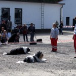 t1000022-150x150 Bericht zum Tag der offenen Tür 2010