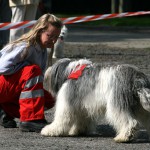t1000024-150x150 Bericht zum Tag der offenen Tür 2010
