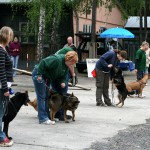 t1000030-150x150 Bericht zum Tag der offenen Tür 2010