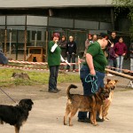 t1000031-150x150 Bericht zum Tag der offenen Tür 2010